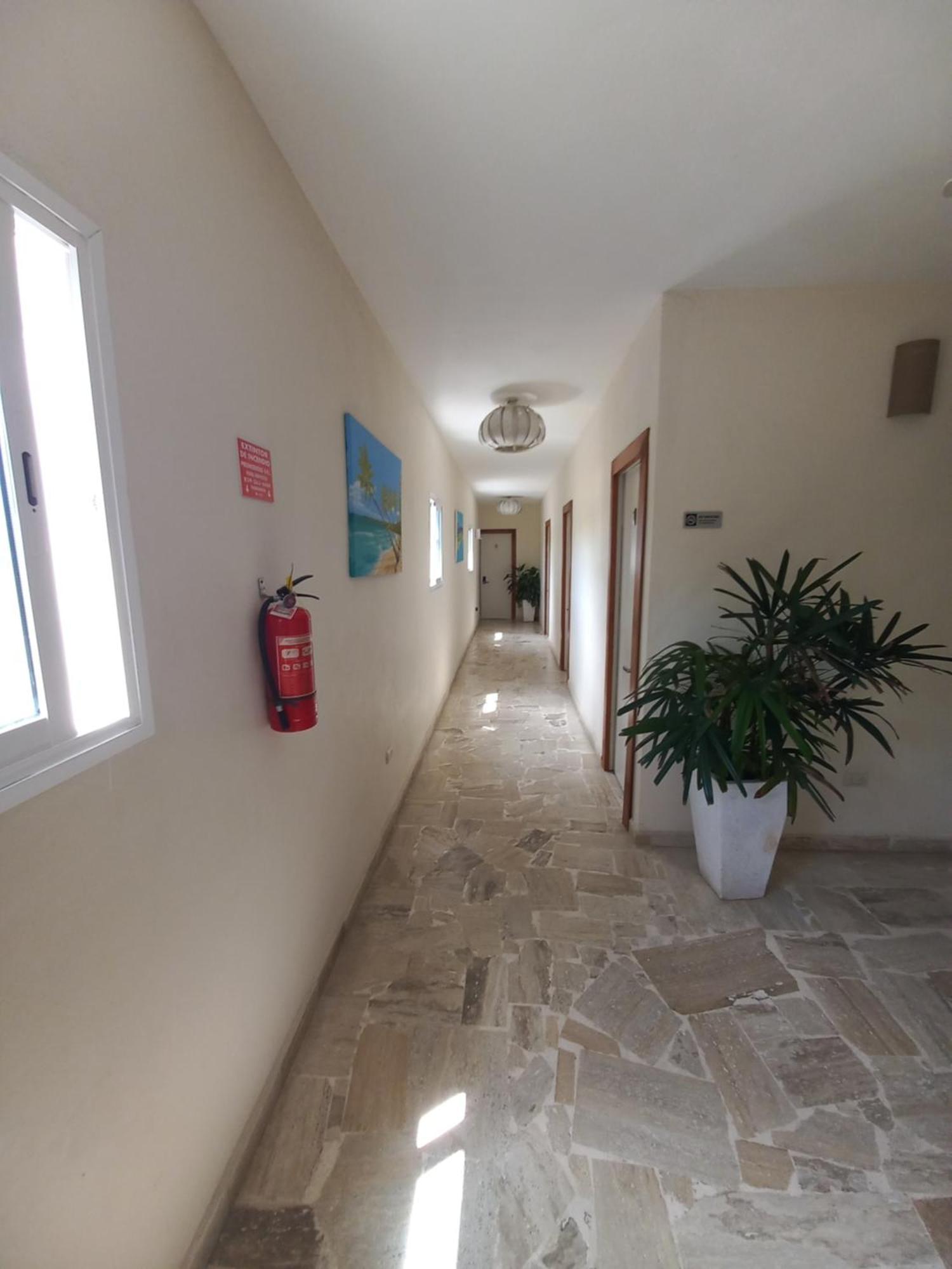 Hotel Casa Olga Las Terrenas Ngoại thất bức ảnh